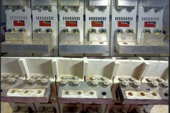 Polish_٢٠٢١١٠٢٤_٢٢٥٤٠٦٧٧٠