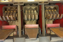 IMG_٢٠٢١١٢٠٩_٠٨٠٠١٢